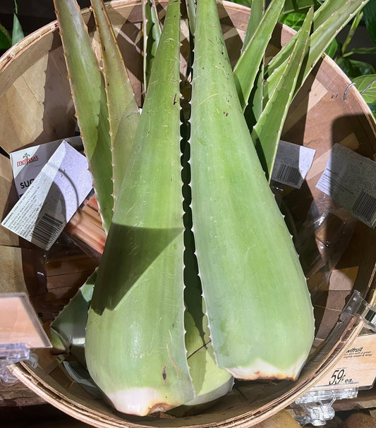 Aloe Vera Benefits for Acne